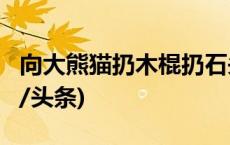 向大熊猫扔木棍扔石头，2人终身禁入！(今日/头条)