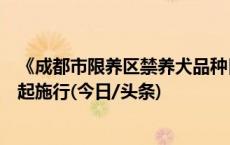 《成都市限养区禁养犬品种目录和大型犬标准》发布，明年起施行(今日/头条)