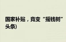 国家补贴，竟变“摇钱树”？起底“僵尸农机”黑幕(今日/头条)