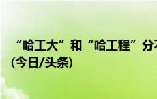 “哈工大”和“哈工程”分不清 高考志愿规划平台问题频出(今日/头条)