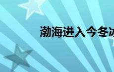 渤海进入今冬冰期(今日/头条)