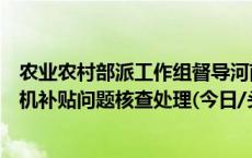 农业农村部派工作组督导河南、江苏、广西等地开展骗套农机补贴问题核查处理(今日/头条)