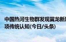 中国热河生物群发现翼龙新属种 华北克拉通翼龙研究挑战多项传统认知(今日/头条)