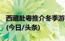 西藏赴粤推介冬季游：所有A级景区免费游览(今日/头条)