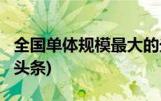 全国单体规模最大的光伏治沙项目并网(今日/头条)