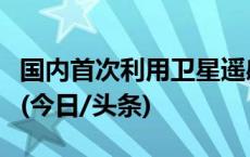 国内首次利用卫星遥感技术开展配网树障治理(今日/头条)