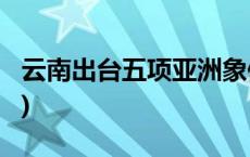 云南出台五项亚洲象保护地方标准(今日/头条)