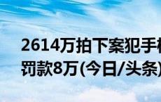 2614万拍下案犯手机号后她后悔了，法院：罚款8万(今日/头条)