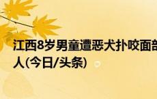 江西8岁男童遭恶犬扑咬面部缝90多针，警方：还在找狗主人(今日/头条)