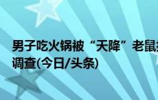 男子吃火锅被“天降”老鼠抓破头？义乌市场监管部门介入调查(今日/头条)