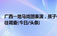 广西一地马戏团表演，孩子们排队骑老虎拍照？警方：已前往调查(今日/头条)