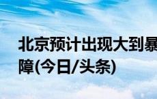 北京预计出现大到暴雪 加强公共交通运力保障(今日/头条)