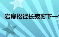 岩扉松径长寂寥下一句（岩扉松径长寂寥）