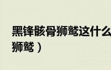 黑锋骸骨狮鹫这什么不是骷髅了?（黑锋骸骨狮鹫）