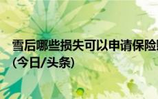 雪后哪些损失可以申请保险赔付？如何报案？专业人士解答(今日/头条)