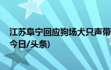 江苏阜宁回应狗场犬只声带被割：犬舍已拆除 犬只被领养(今日/头条)