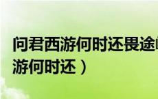 问君西游何时还畏途巉岩不可攀修辞（问君西游何时还）