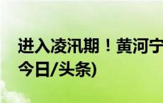 进入凌汛期！黄河宁夏段出现今冬首次流凌(今日/头条)