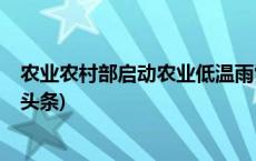 农业农村部启动农业低温雨雪冰冻灾害Ⅳ级应急响应(今日/头条)