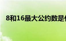 8和16最大公约数是什么（公约数是什么）