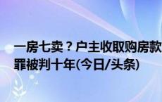 一房七卖？户主收取购房款或定金234万元，构成合同诈骗罪被判十年(今日/头条)