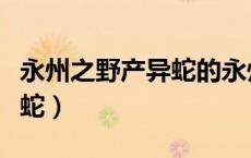 永州之野产异蛇的永州在哪里（永州之野产异蛇）