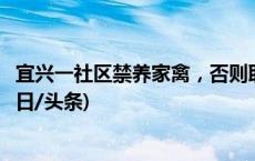 宜兴一社区禁养家禽，否则取消养老金？官方：责令撤销(今日/头条)