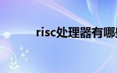 risc处理器有哪些（risc处理器）