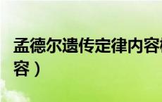 孟德尔遗传定律内容概括（孟德尔遗传定律内容）