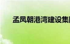 孟凤朝港湾建设集团总经理（孟凤朝）