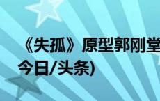 《失孤》原型郭刚堂之子被拐案今日将宣判(今日/头条)