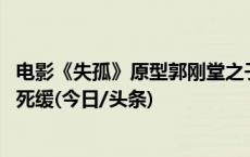 电影《失孤》原型郭刚堂之子被拐案一审宣判 被告人呼富吉死缓(今日/头条)