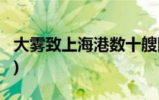 大雾致上海港数十艘国际航船受阻(今日/头条)