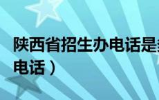 陕西省招生办电话是多少（陕西省招生办咨询电话）