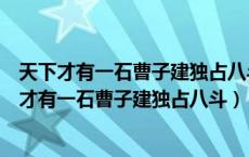 天下才有一石曹子建独占八斗我得一斗天下共分一斗（天下才有一石曹子建独占八斗）