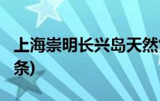 上海崇明长兴岛天然气管道顺利竣工(今日/头条)