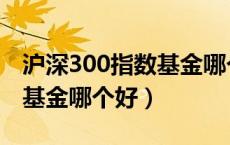 沪深300指数基金哪个好指数（沪深300指数基金哪个好）