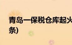 青岛一保税仓库起火 暂无人员伤亡(今日/头条)