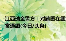 江西瑞金警方：对藏匿在缅北地区涉诈在逃人员进行公开悬赏通缉(今日/头条)