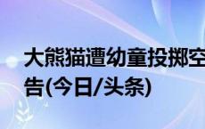 大熊猫遭幼童投掷空塑料瓶 监护人被严肃警告(今日/头条)