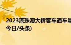 2023港珠澳大桥客车通车量创新高，港澳单牌车占比过半(今日/头条)