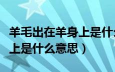 羊毛出在羊身上是什么意思啊（羊毛出在羊身上是什么意思）