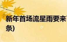 新年首场流星雨要来了，许个愿吗？(今日/头条)