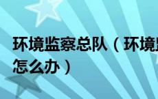 环境监察总队（环境监察信息管理系统进不去怎么办）