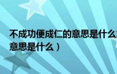 不成功便成仁的意思是什么意思比喻感情（不成功便成仁的意思是什么）