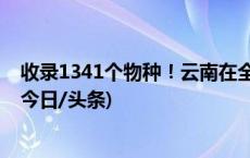 收录1341个物种！云南在全国率先发布省级大型真菌图志(今日/头条)