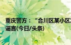 重庆警方：“合川区某小区发生多起持刀入室抢劫案件”系谣言(今日/头条)