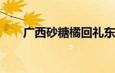 广西砂糖橘回礼东北老铁(今日/头条)