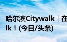 哈尔滨Citywalk｜在这吃饱穿暖 再去冰上walk！(今日/头条)