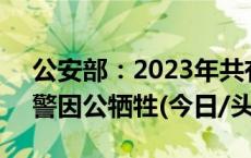 公安部：2023年共有253名民警、164名辅警因公牺牲(今日/头条)